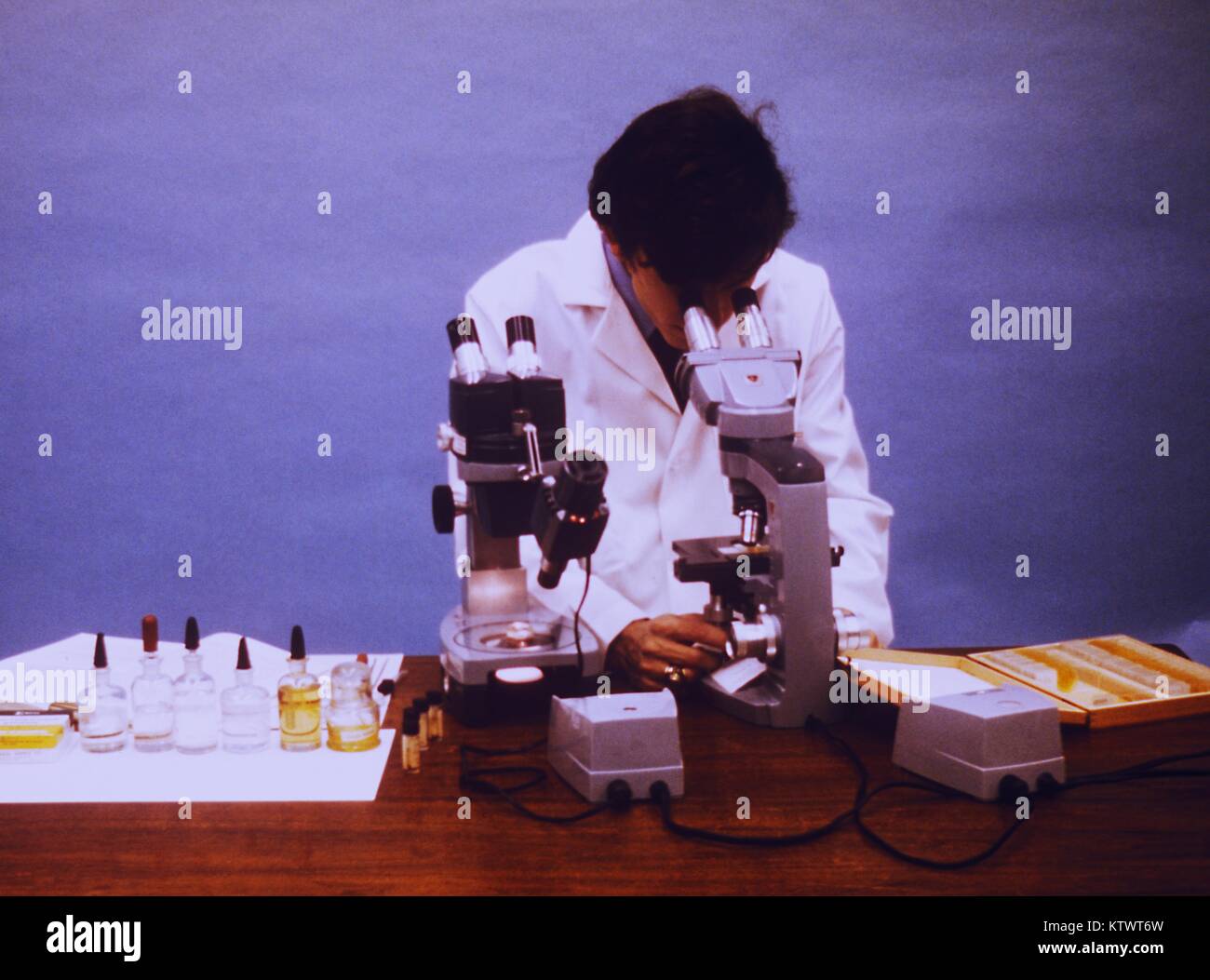 Photograph of an entomologist using two types of microscopes to observe
