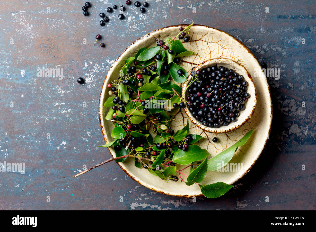 Superfood MAQUI BERRY. Superfoods antioxidant of indian mapuche, Chile. Bowl of fresh maqui berry and maqui berry tree branch on metal background, top Stock Photo