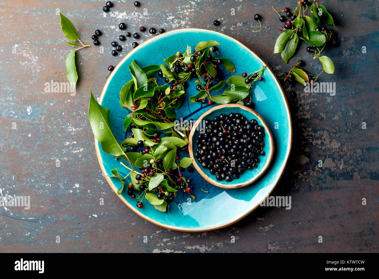 Superfood MAQUI BERRY. Superfoods antioxidant of indian mapuche, Chile. Bowl of fresh maqui berry and maqui berry tree branch on metal background, top Stock Photo