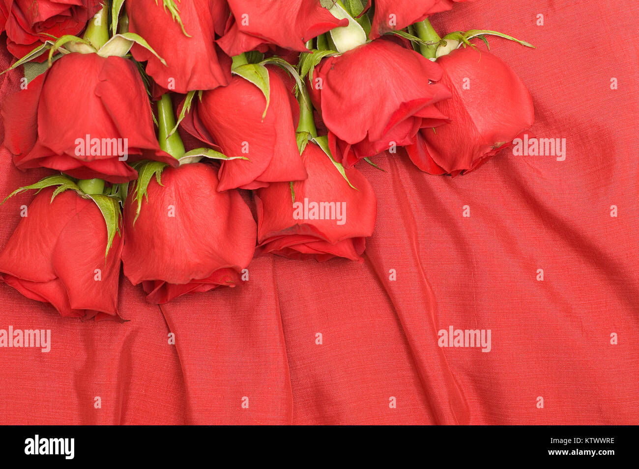 Red roses and silk background Stock Photo - Alamy