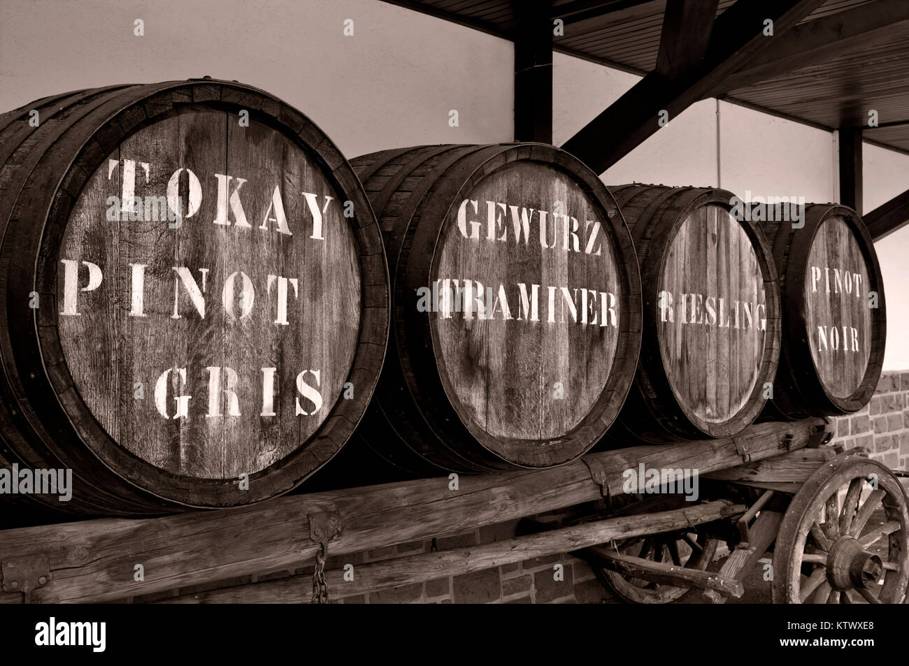 OLD WINE BARRELS B&W toned historic traditional wine barrels labeled with Tokay, Pinot Gris, GewurzTraminer,  Pinot Noir, Riesling, etc in typical French winery France Stock Photo