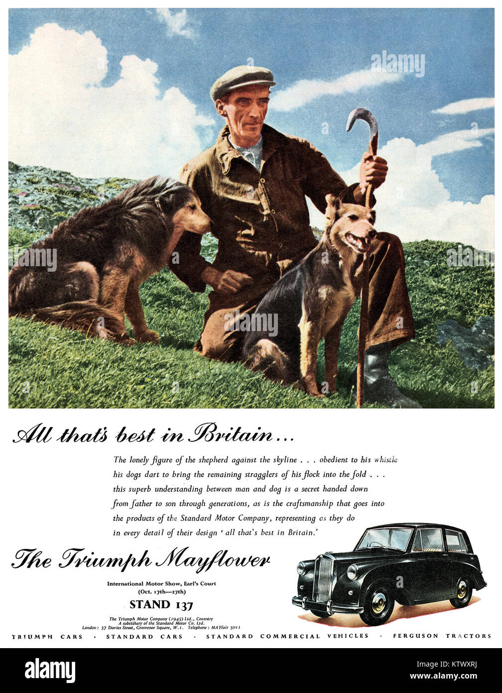1951 British advertisement for the Triumph Mayflower motor car. Stock Photo