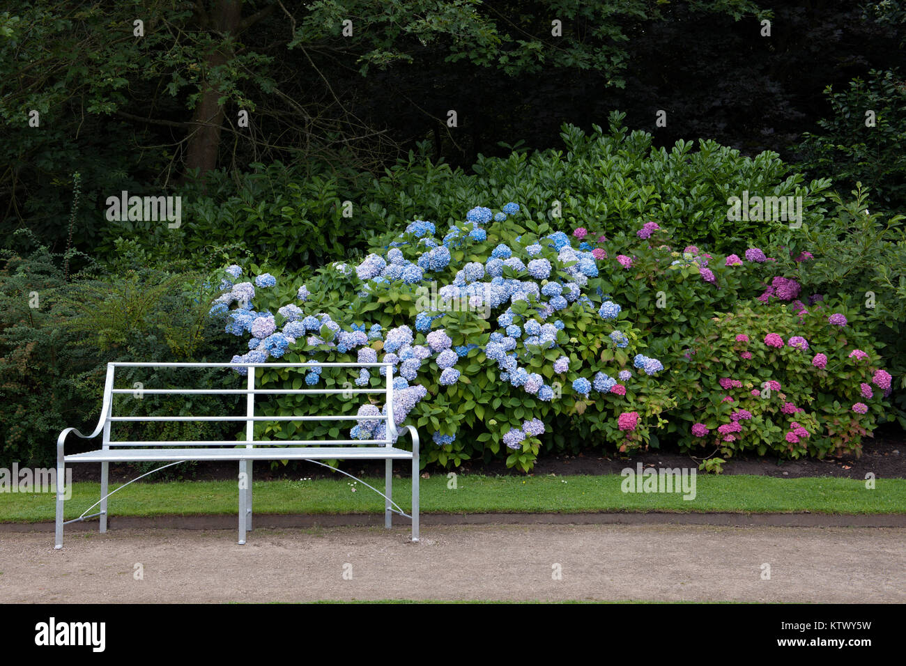 English garden in summer Stock Photo Alamy