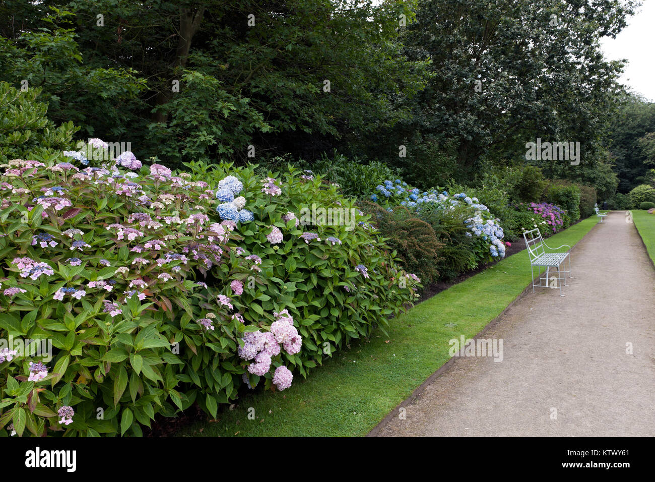English garden in summer Stock Photo Alamy