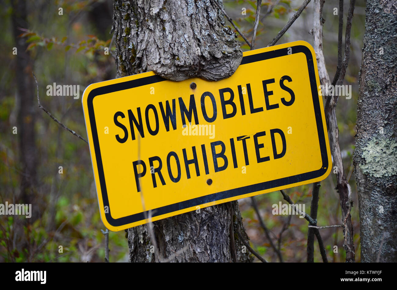 Yellow Snowmobiles Prohibited sign on a tree warning snowmobiles to keep off of trails in a hiking area in the Adirondack wilderness. Stock Photo