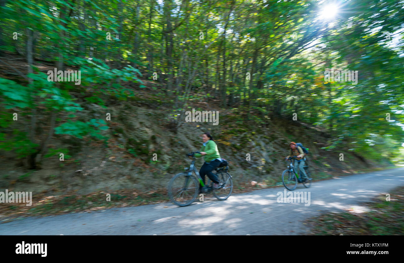 north park cycle
