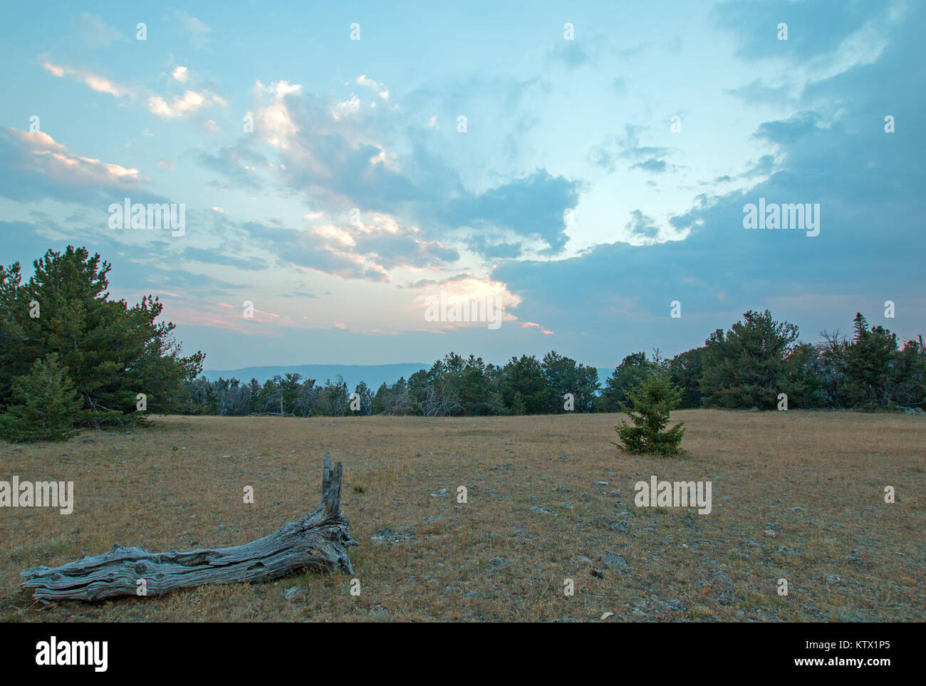 Sunset over Teacup Canyon as seen from Tillett Ridge in the Pryor Mountains on the Wyoming Montana state line - United States Stock Photo