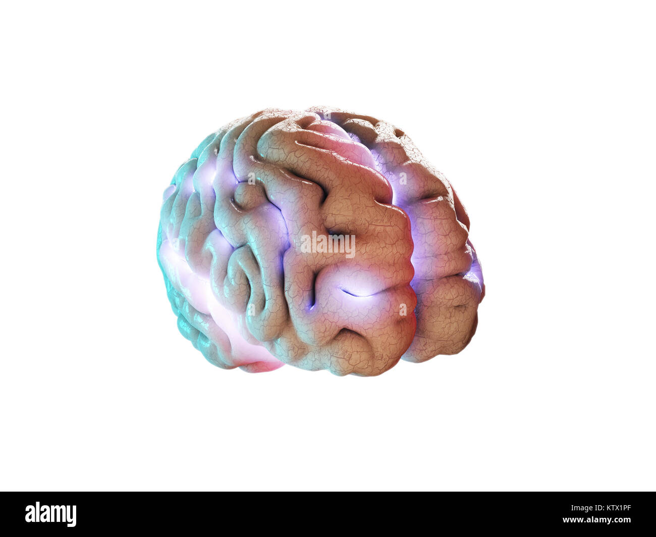 Concept of human intelligence with human brain on white background, 3d Illustration. Stock Photo