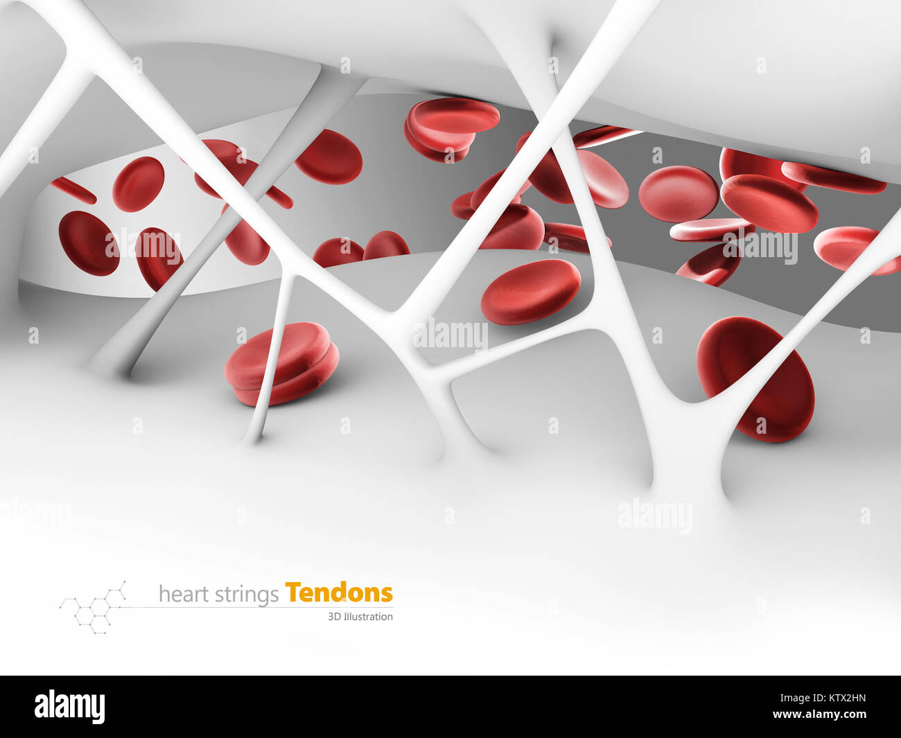 3d Illustration of heart strings Tendons, inside the human heart Stock