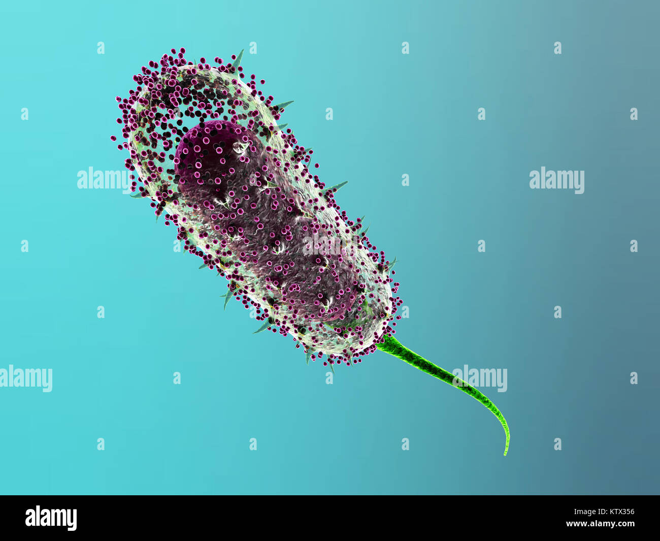 Bacteria virus cell. 3d illustration on blue background Stock Photo - Alamy
