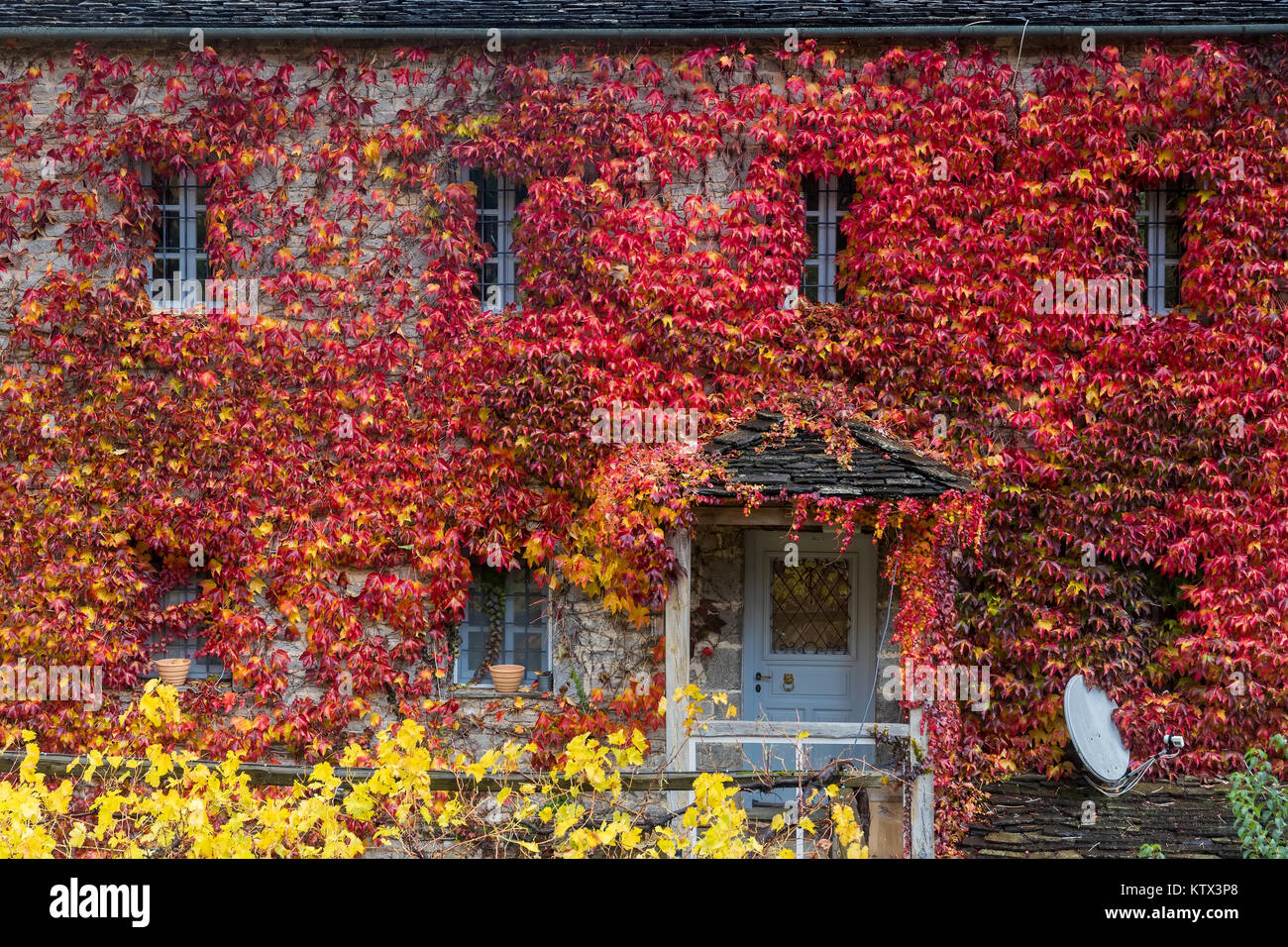 Fall red leafs climb a multi stored building fasade, omitting windows. Seasonal Autumn background. Papingo village, Zagorochoria, Greece Stock Photo