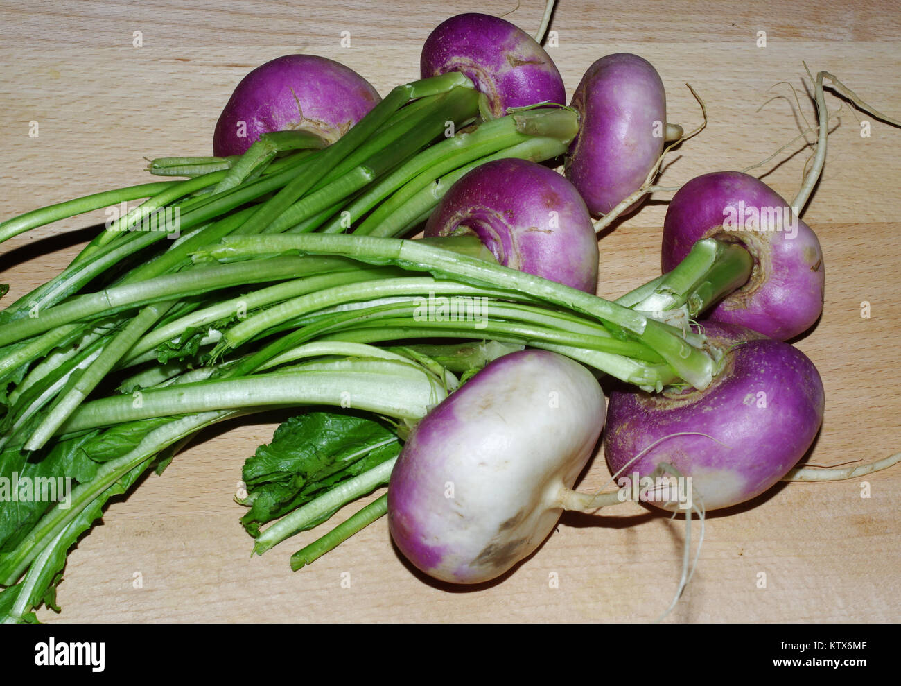 White turnip (brassica campestris) closeupc Stock Photo Alamy