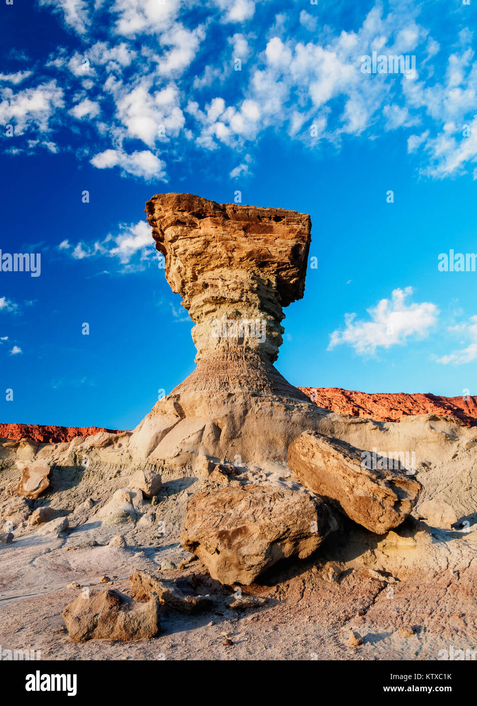 The Mushroom Rock Formation, Ischigualasto Provincial Park, UNESCO ...