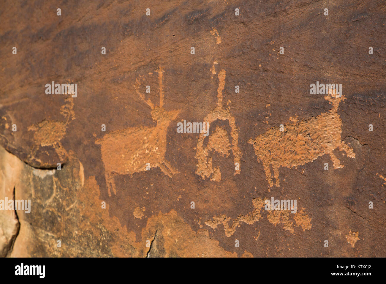 Anasazi Petroglyphs, Shay Canyon, Utah, United States of America, North