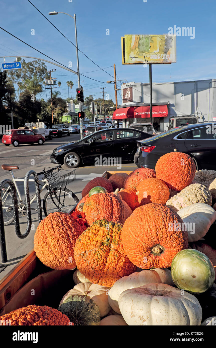 Pumpkins and gourds for sale at Halloween outside Trader Joes Supermarket in the Silver Lake neighborhood of Los Angeles California USA   KATHY DEWITT Stock Photo