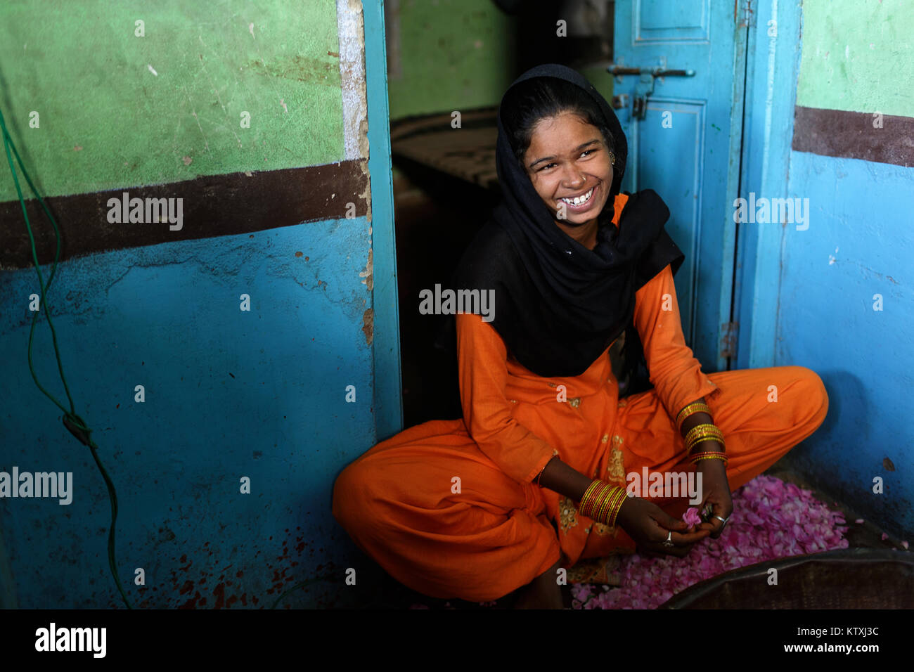Shy young indian girl in orange traditional dress with hair covered with black shawl picking rose petals in her home, village near Pushkar, Rajasthan. Stock Photo