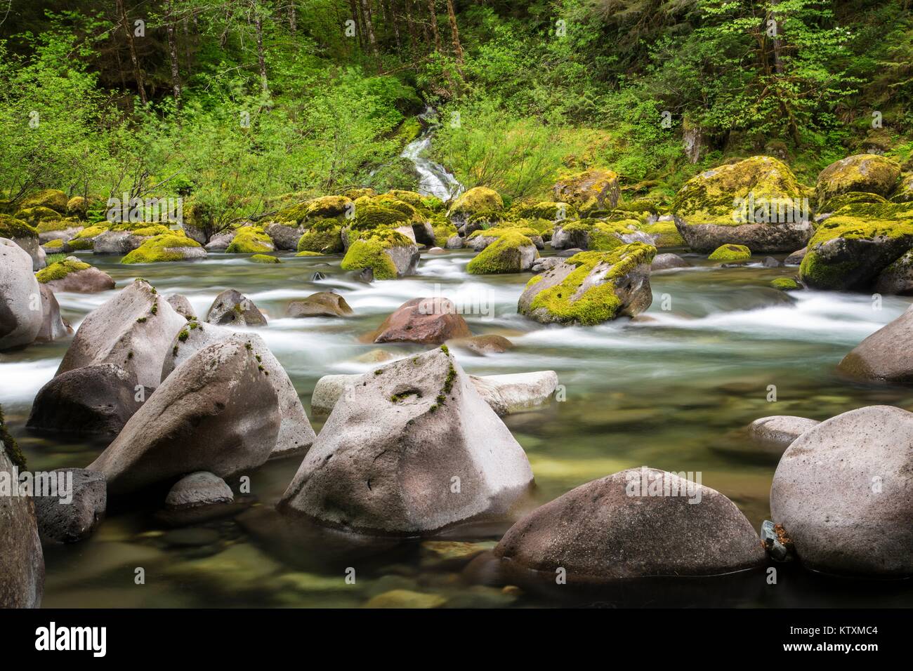 Water flows down the rocks at Quartzville Creek in the Middle Santiam