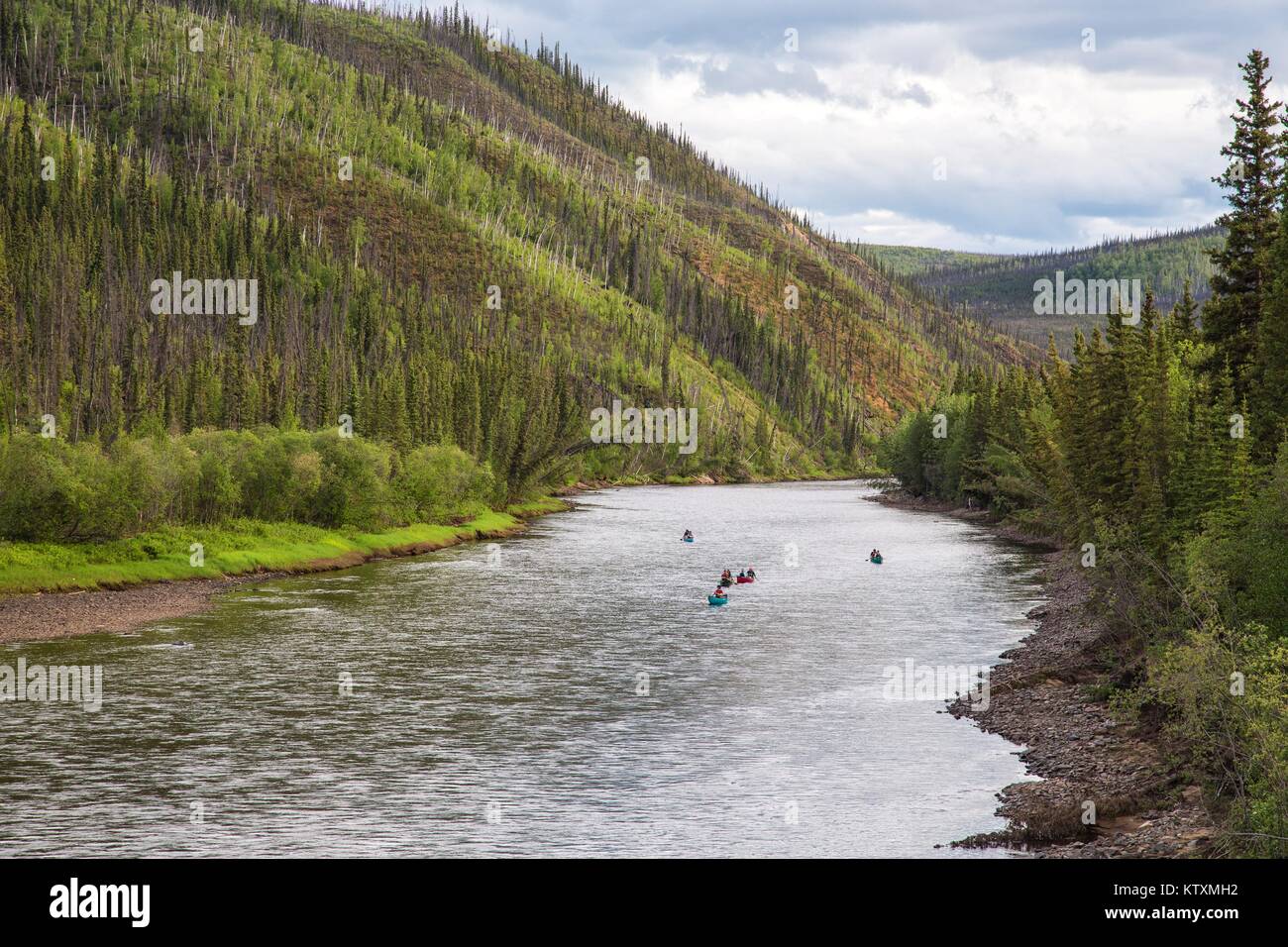 Tourists canoe down the Fortymile Wild and Scenic River June 15, 2014 in Alaska. Stock Photo