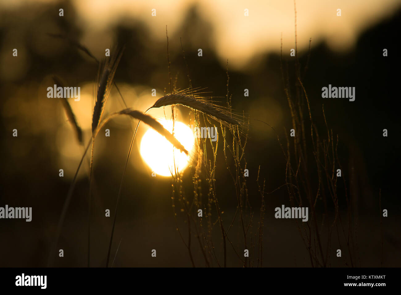 Sharp lights hi-res stock photography and images - Alamy
