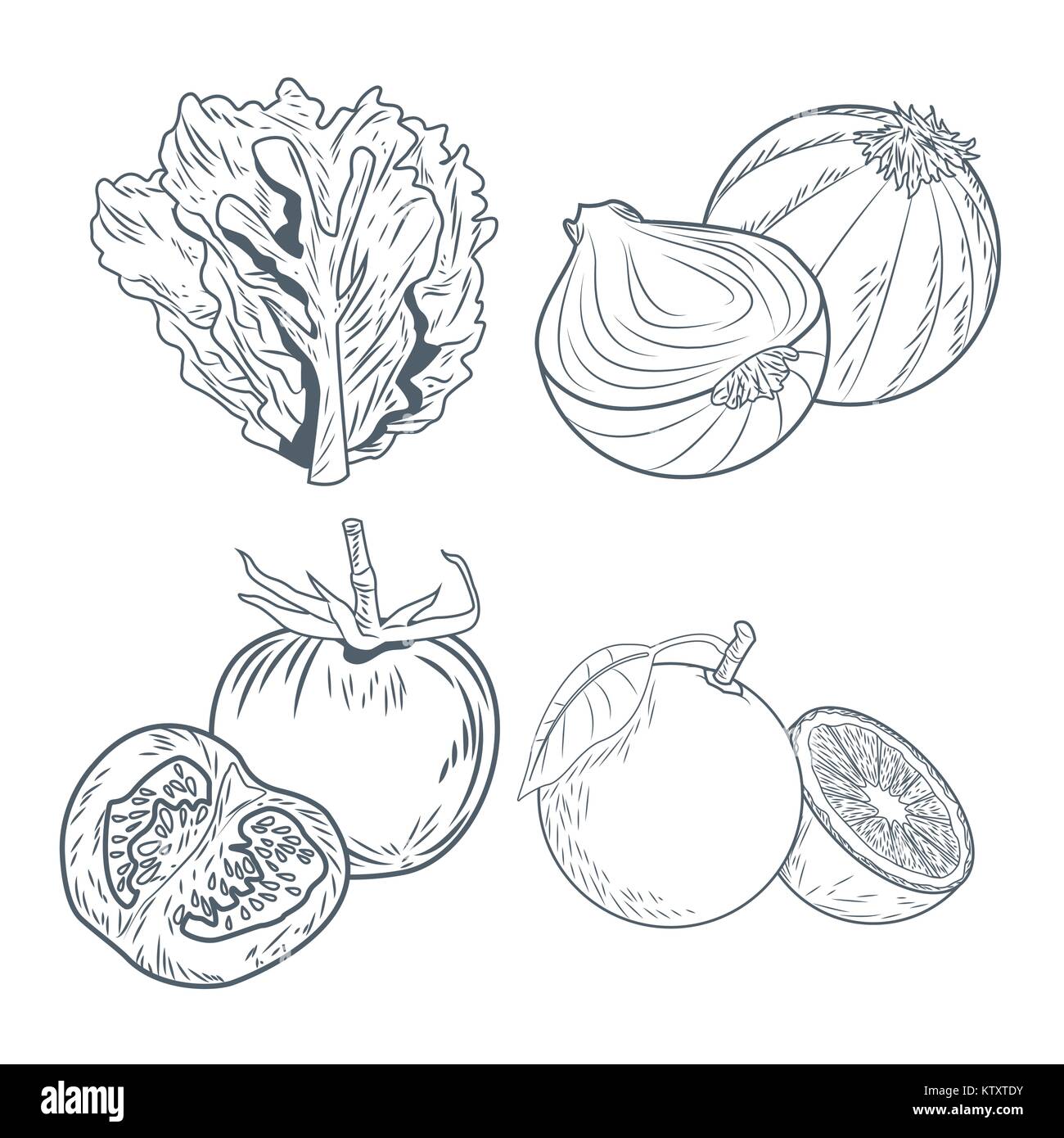 Cut half tomato vector drawing hires stock photography and images Alamy