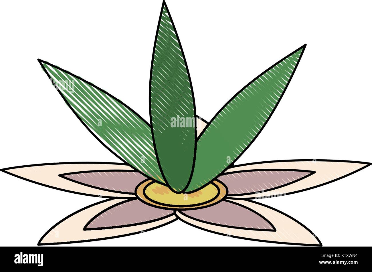 Beautiful flower isolated Stock Vector Image & Art - Alamy
