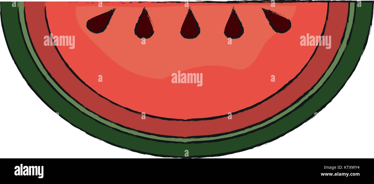 Watermelon fruit isolated Stock Vector Image & Art - Alamy