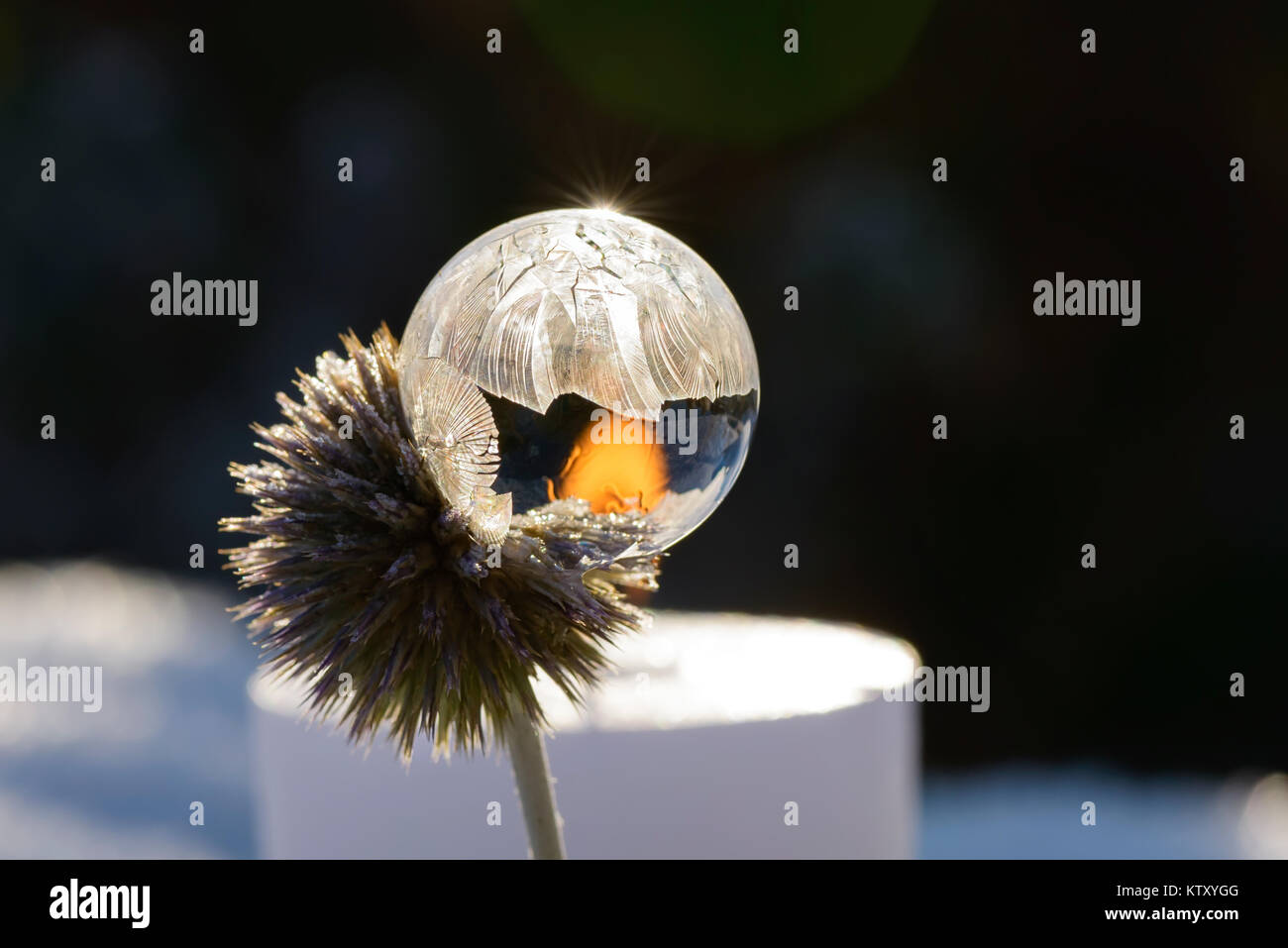 Close up of a frozen soap bubble on a thistle with a lighted candle in the background on a cold winter day, Germany. Stock Photo