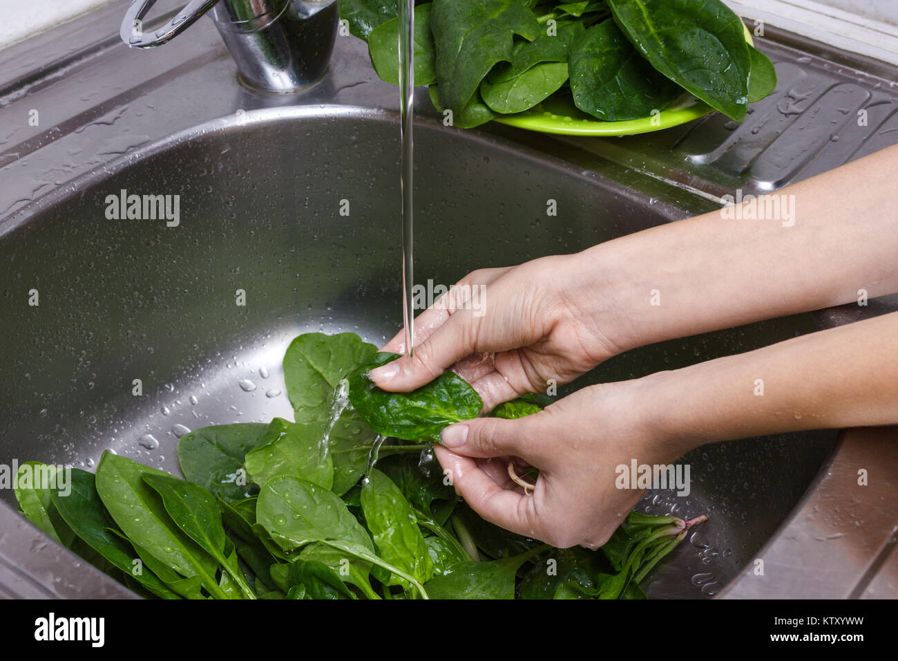 Male hands wash spinach. Main ingredient for tasty salad. Spinach