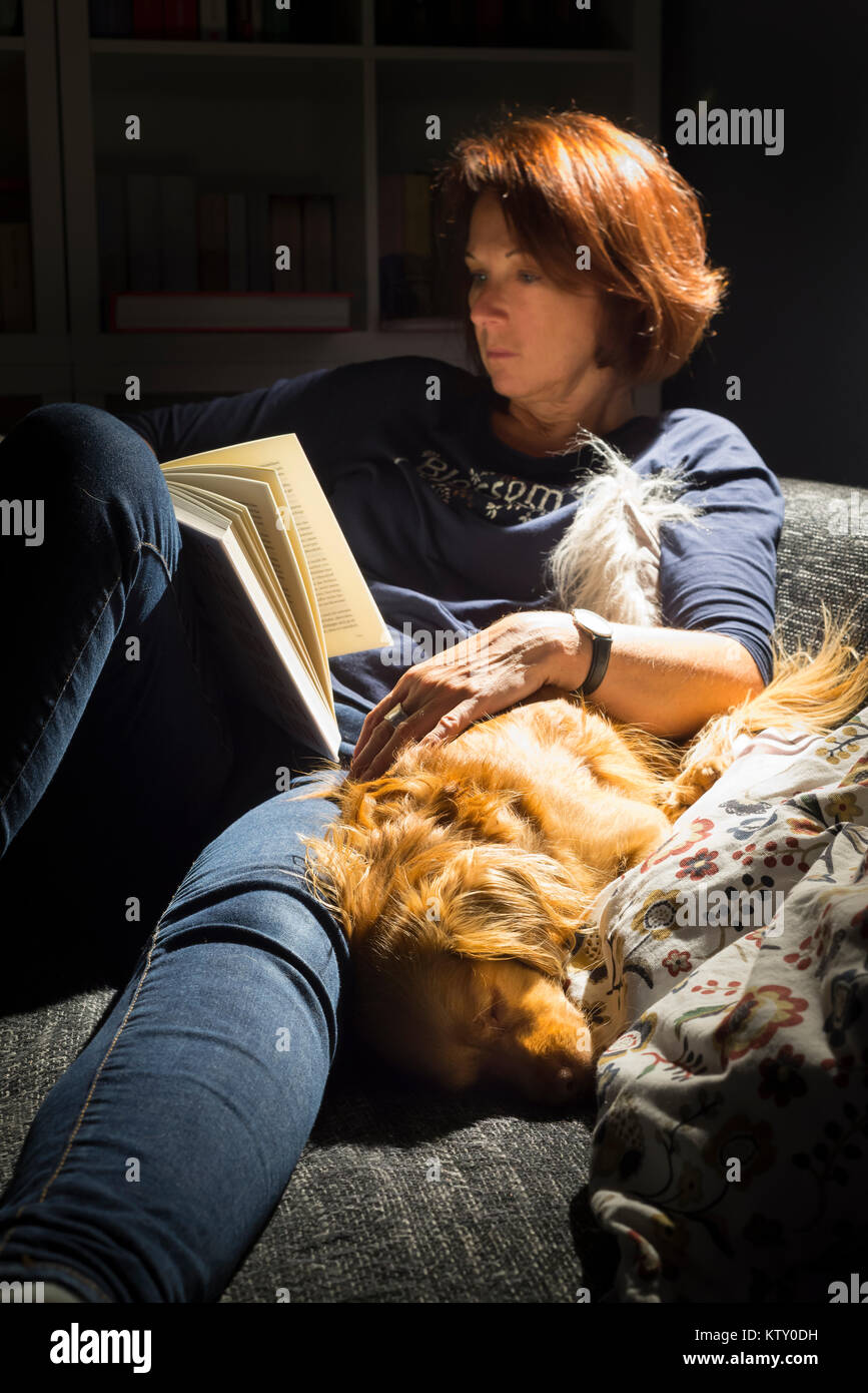 Reading red-haired woman and spaniel mixed breed dog lie comfortably on sofa in front of bookcase in the living room in the light of a lamp Stock Photo