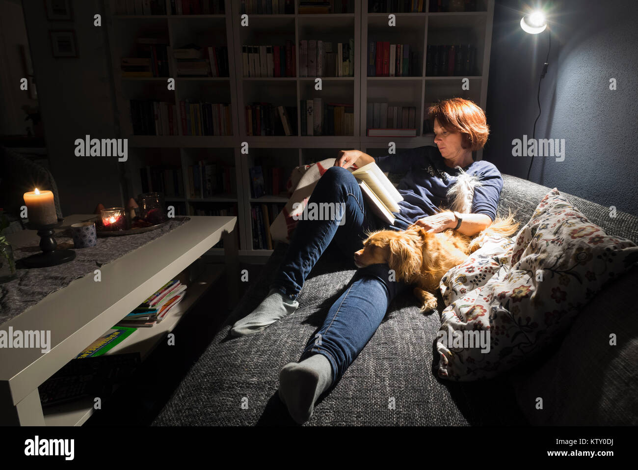 Reading red-haired woman and spaniel mixed breed dog lie comfortably on sofa in front of bookcase in the living room in the light of a lamp Stock Photo