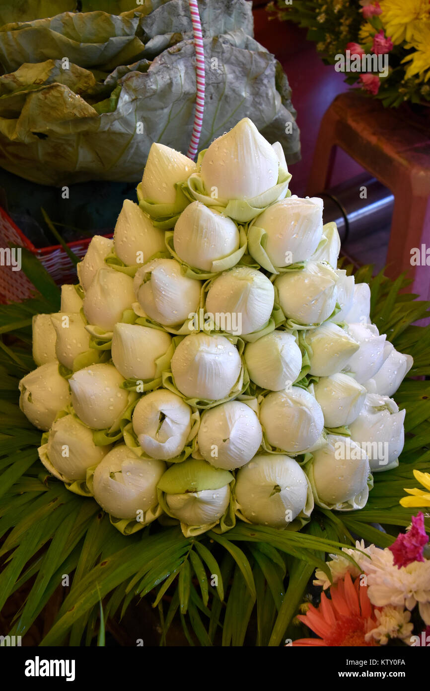 Displays of this flower arranged here for ceremonial rites, sold on this market in Pnom Penn, Cambodia Stock Photo
