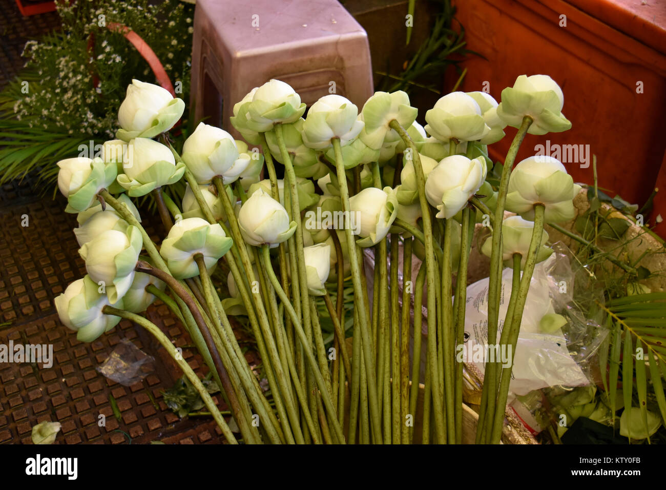 Displays of this flower arranged here for ceremonial rites, sold on this market in Pnom Penn, Cambodia Stock Photo