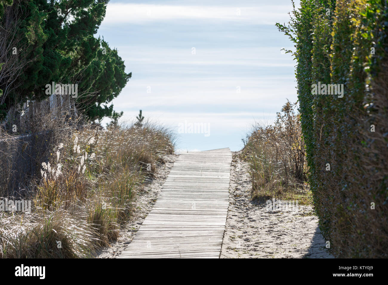 boardwalk to the ocean beach in amagansett, ny Stock Photo