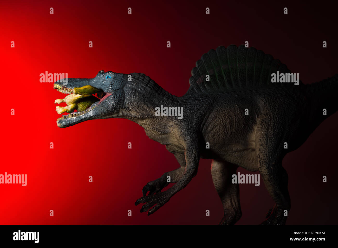 spinosaurus biting a small dinosaur with spot light on the head and red light on background Stock Photo