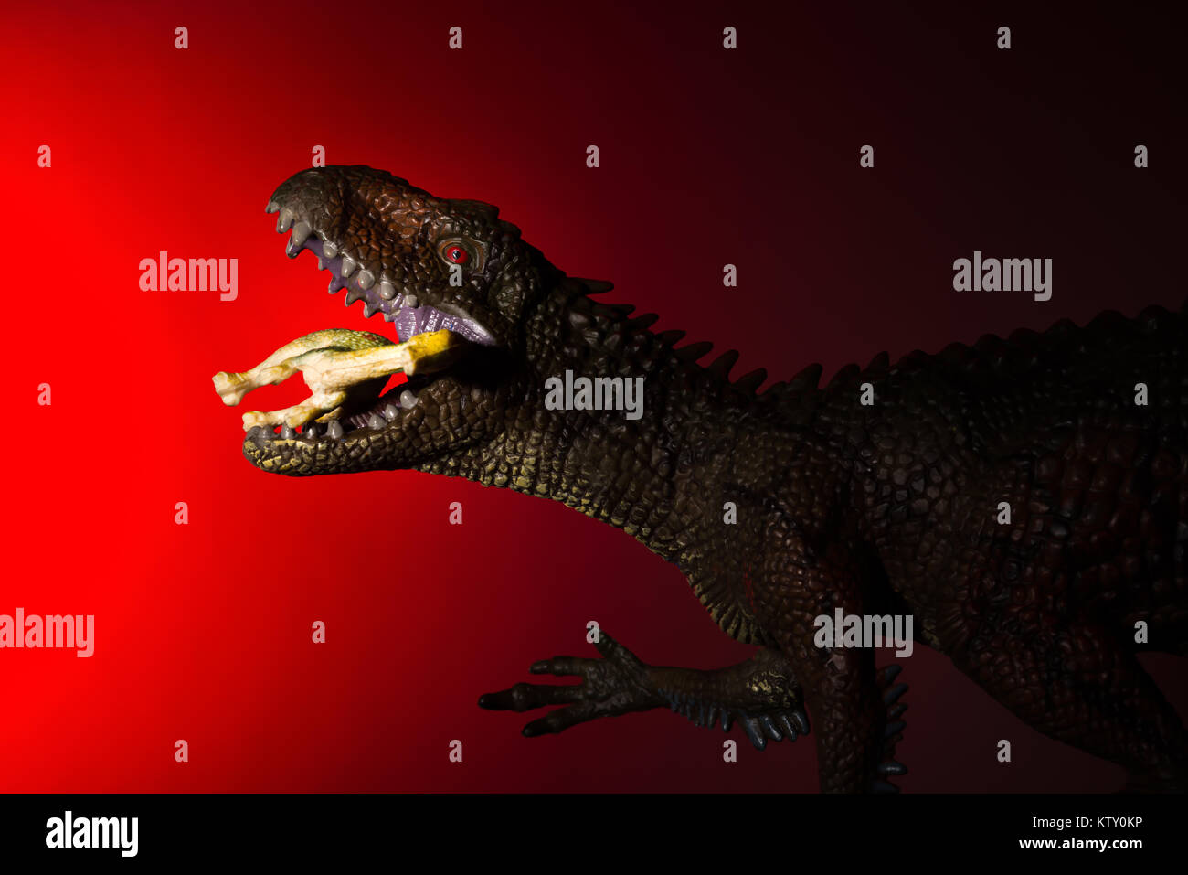 Carcharodontosaurus biting a small dinosaur with spot light on the head and red light on background Stock Photo