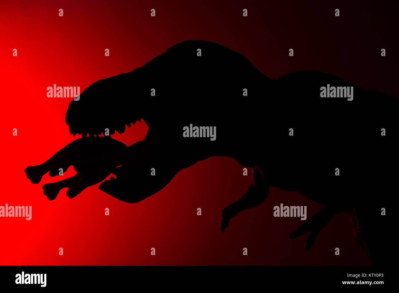 shadow of tyrannosaurus biting a smaller dinosaur with red light in ...