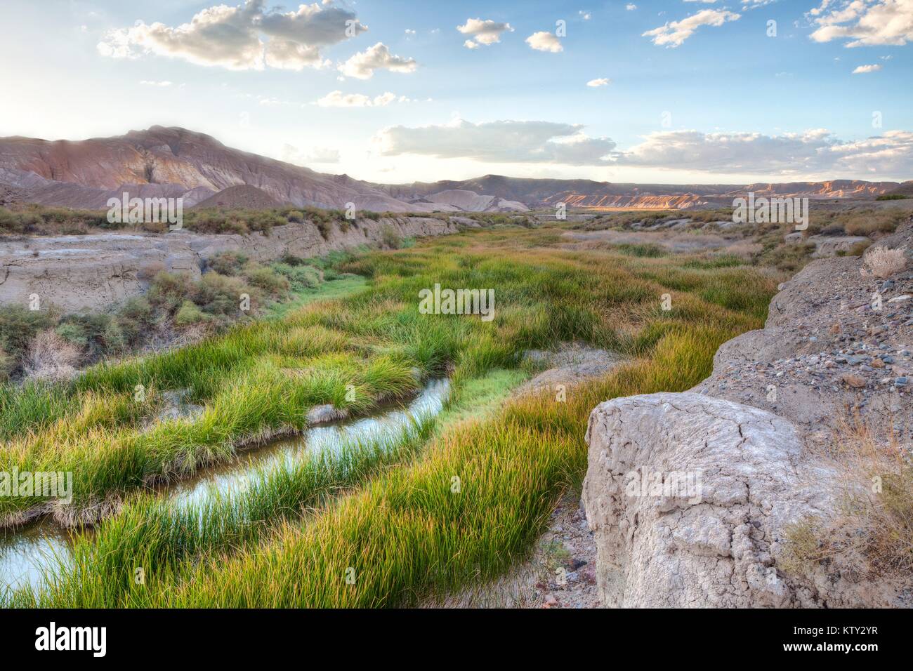 The Amargosa Wild and Scenic River flows through the Mojave Desert October 2, 2011 in California. Stock Photo