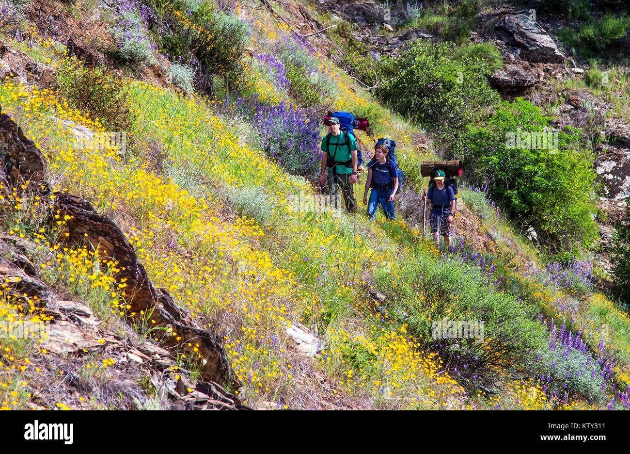 Tourists hike near the North Fork of the American Wild and Scenic River March 21, 2015 in California. Stock Photo