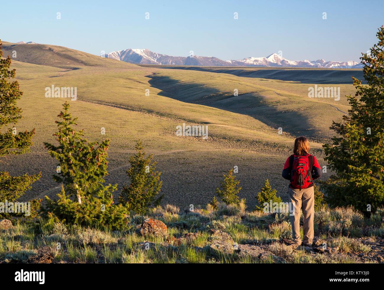 Tourists hike the Nez Perce National Historic Trail June 2, 2014 in Idaho. Stock Photo