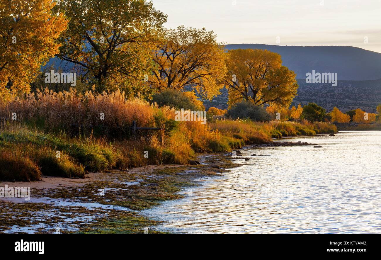 Autumn foliage along the Green River at the John Jarvie Historic Ranch October 14, 2016 in Dutch John, Utah. Stock Photo