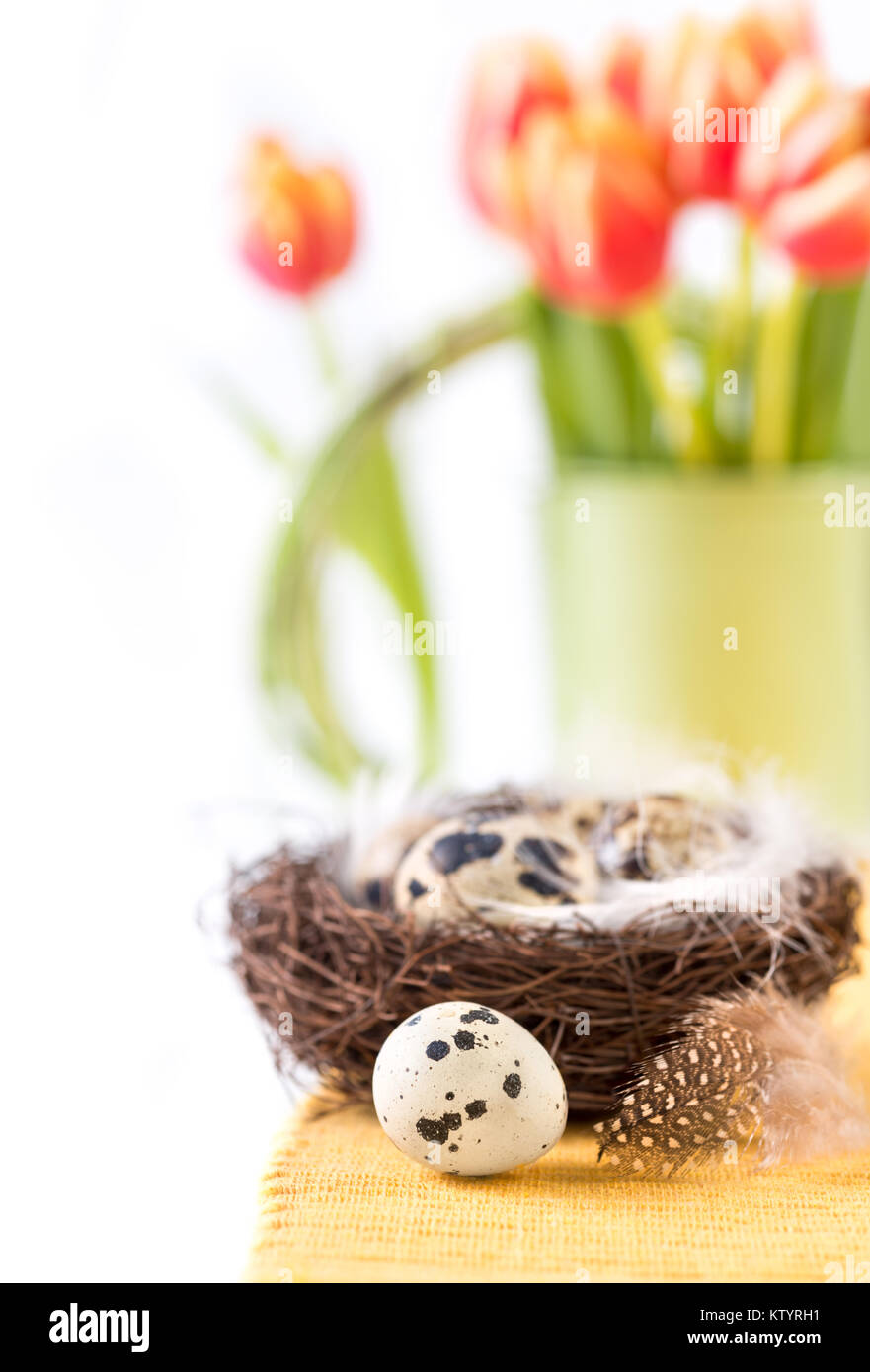 Easter background with quail eggs, nest and tulips Stock Photo - Alamy