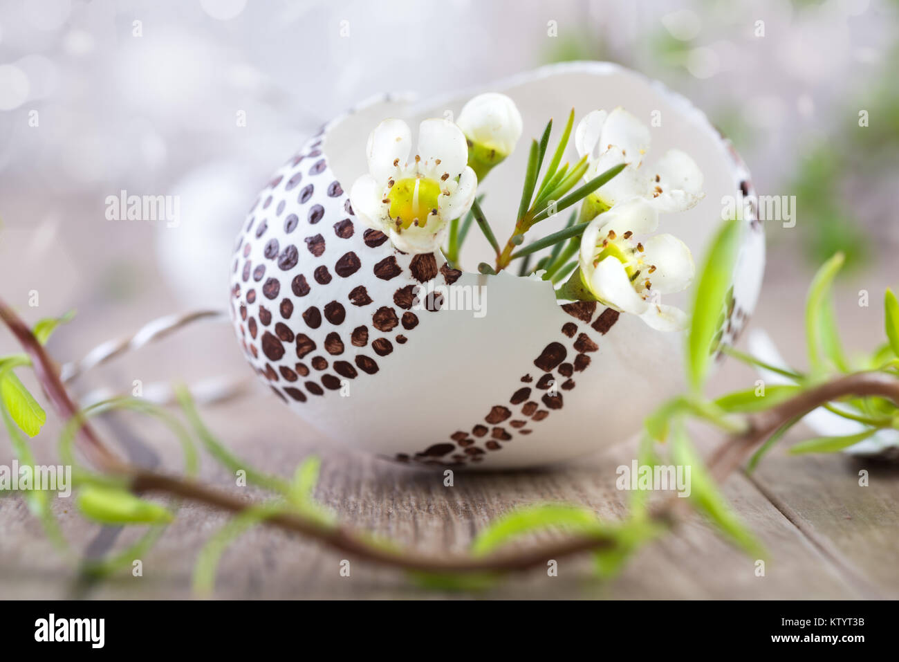 White flowers in broken Easter egg on neutral natural background Stock Photo