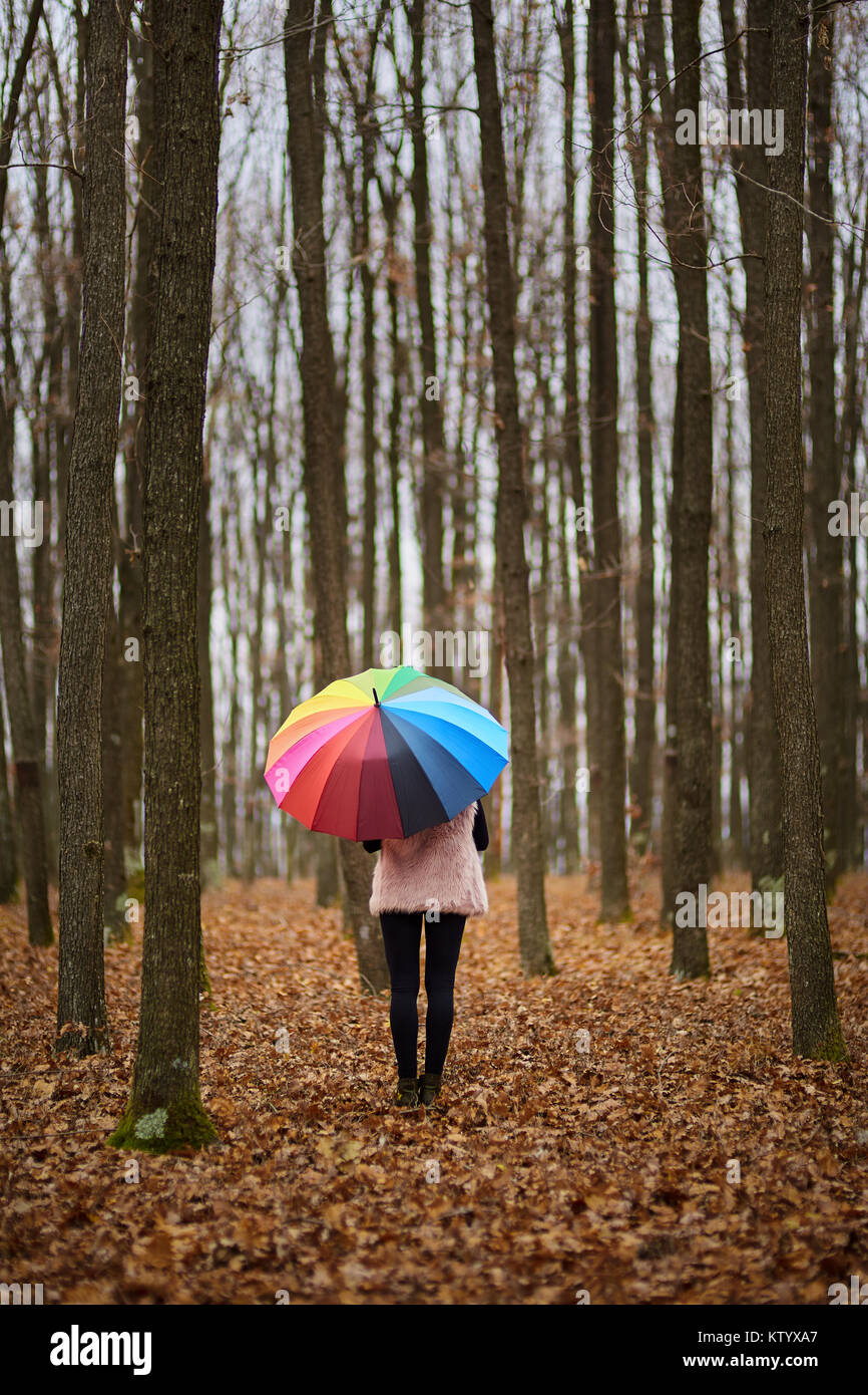 Woman with colorful umbrella walking through the forest Stock Photo - Alamy