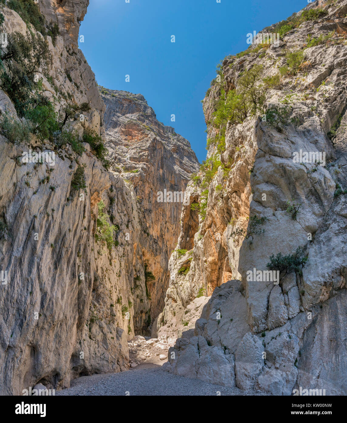 Limestone walls at Gorropu Canyon, Gola Su Gorropu, Gennargentu National Park, Nuoro province, Sardinia, Italy Stock Photo