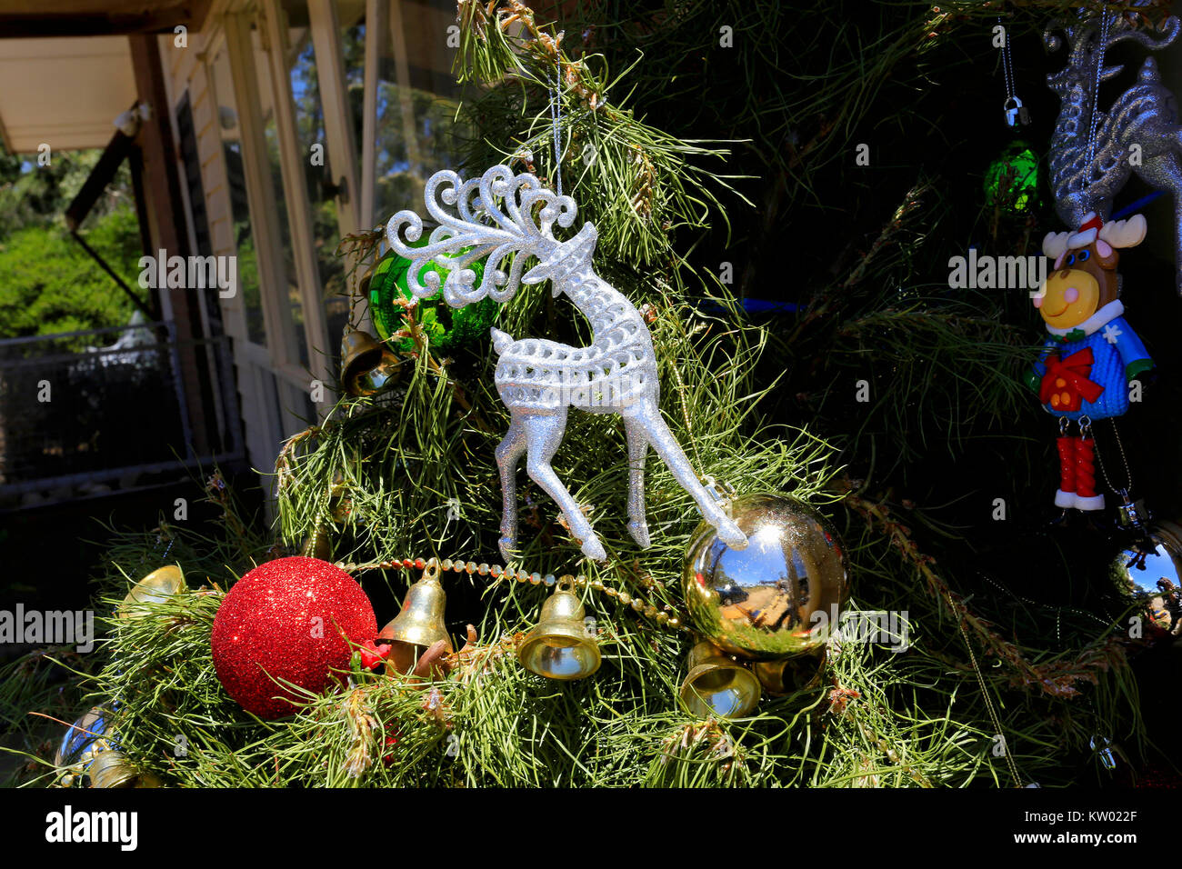 Australian Christmas tree, with reindeer decoration and other baubles Stock Photo