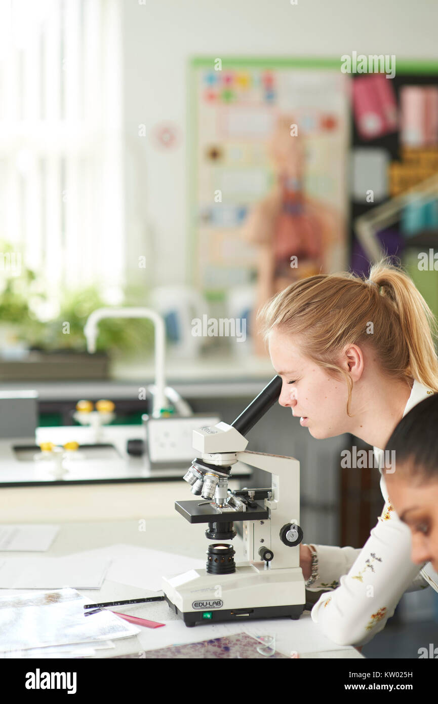 science lesson Stock Photo