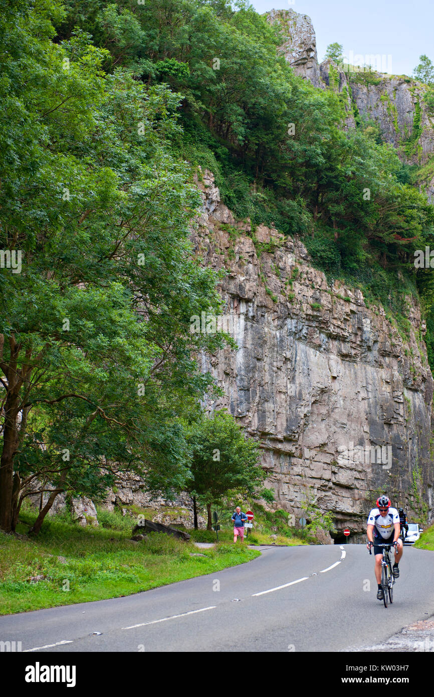 A cyclist ascends Cliff Road, the steep incline in Cheddah Gorge, Somerset, UK Stock Photo