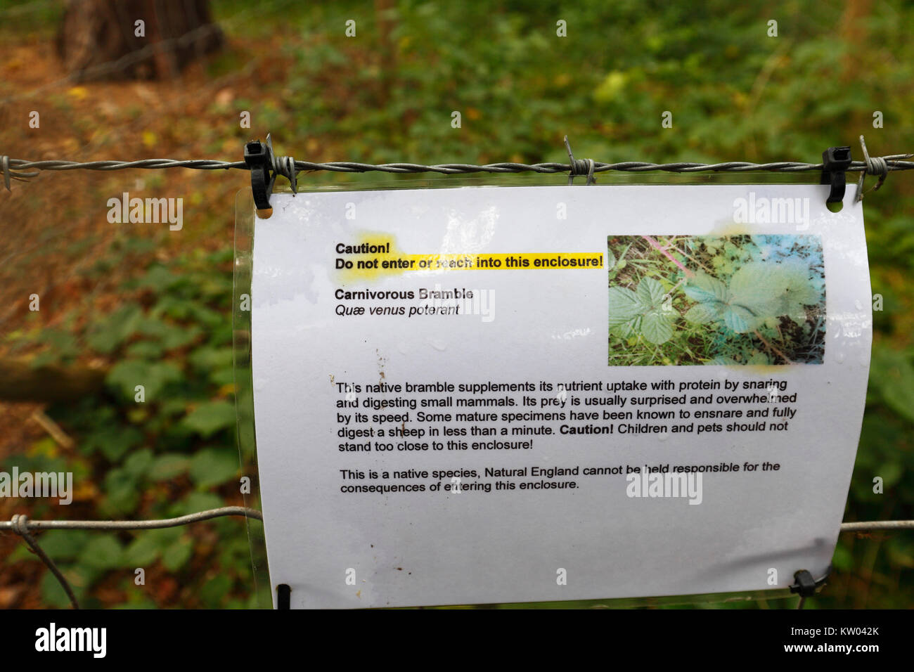 Spoof sign warning of a carnivorous bramble. Stock Photo