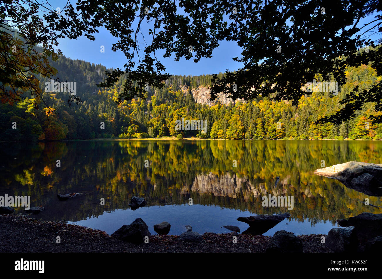 Black Forest, field mountain field lake, Schwarzwald, Feldberg Feldsee ...