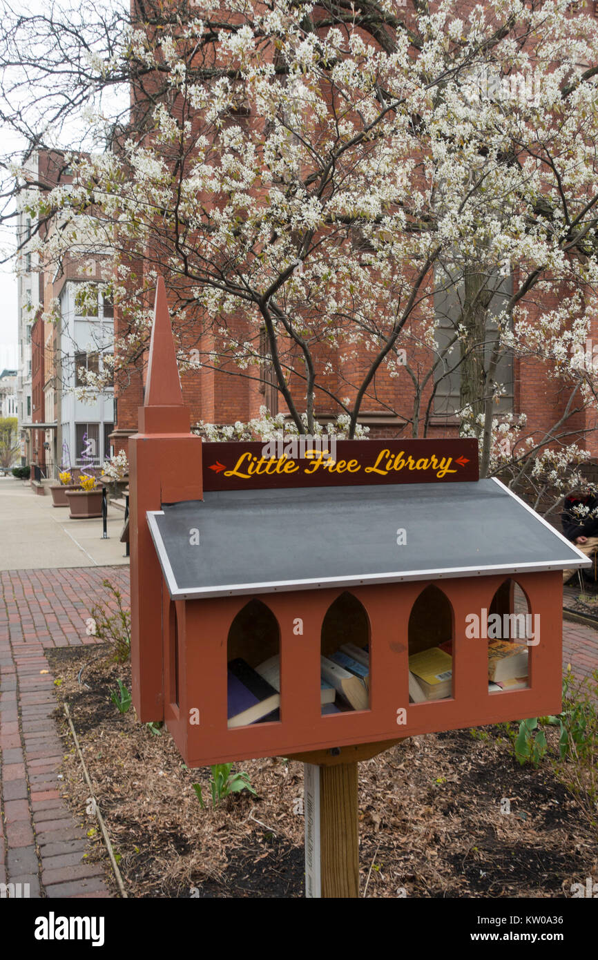 free library books outside Albany NY Stock Photo Alamy